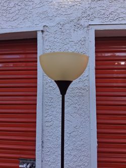 Moving sale Floor lamp pickup 3-8:30 pm rainbow/charleston cash only