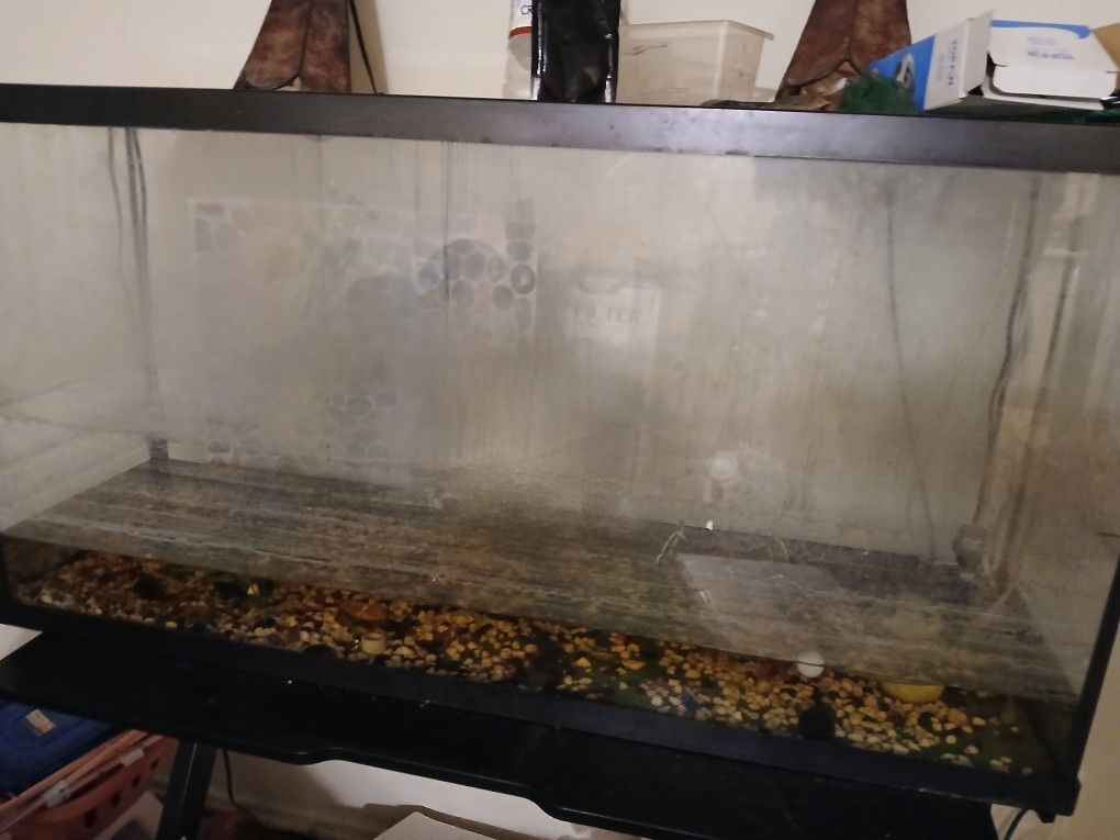55 Gallion Fishtank With Lights and Filter 