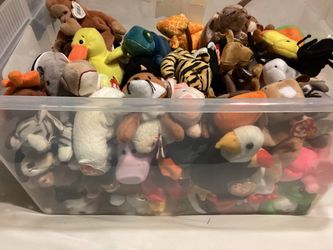 Lot of Beanie Babies