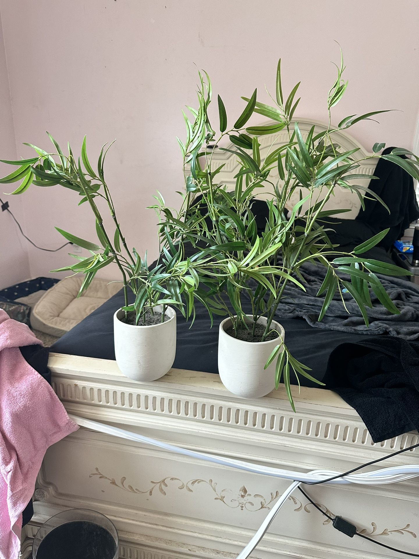 Fake Plants 