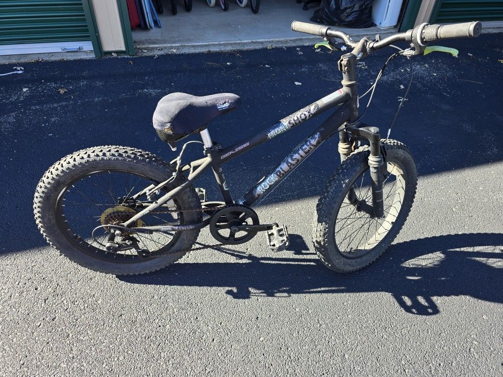 Boy's Fat Tire Mountain Bike