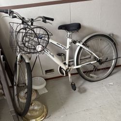 Avigo Rialto Cruiser Bike