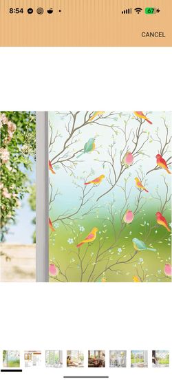 Coavas Privacy Window Film Non-Adhesive Translucent Bird Window Film Decorative Glass Film Static Cling Film Bird Windows Stickers for Home Office 45 