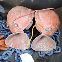 1956 Chevy Horns With Mount They Work