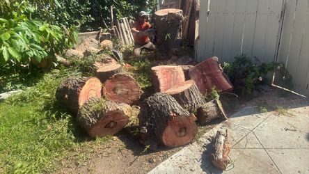FREE WOOD LOCATED IN ARCADIA TEXT ME TO PICK UP