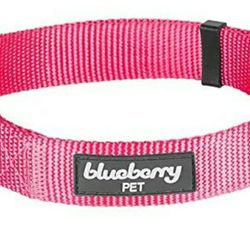 Blueberry  Classic Dog Collar Size L 