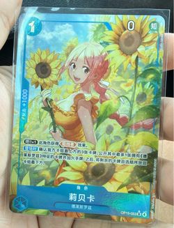 One Piece/ Pokemon TCG