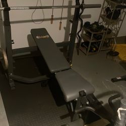 Lifting Chair And Weights 
