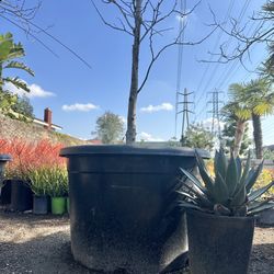 45 Gallon Container / Pot For Tree And Flowers 