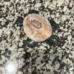 Marble Shell Stone Sea Turtle