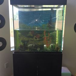 FISH TANK 