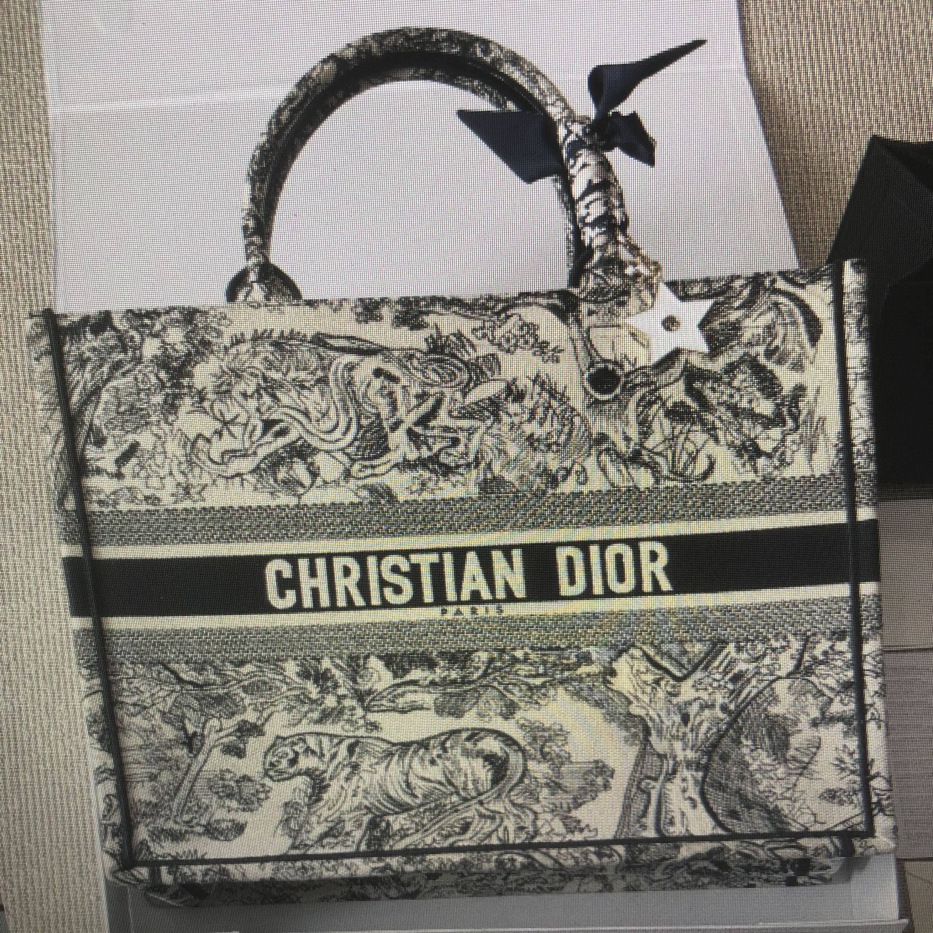 Dior shopping bag
