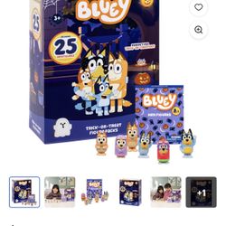 Boxes Of Bluey Blind Bags, $20 Each