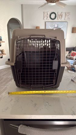 Medium Hard-Sided Pet Travel Crate