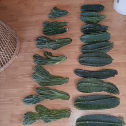 Bulk 10 Lb Boxes Of Monstrose $100, Peruvian $60 I SHIP