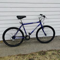 Trek Bike 