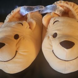 Winnie The Pooh Slippers