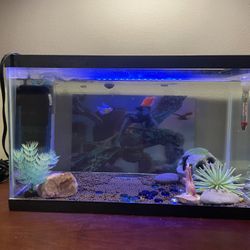 10 Gallon Fish Tank 