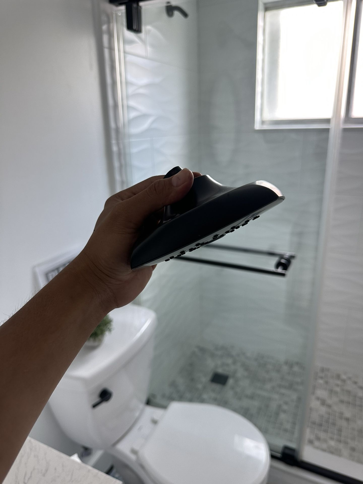 Black Matte Delta Shower Head