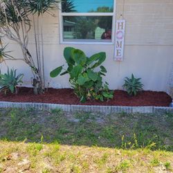 All Yard Improvements 