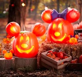 Offical Disney Halloween Mickey and Minnie Light up Pumpkins