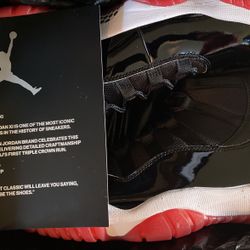 Air Jordan 11 Retro
