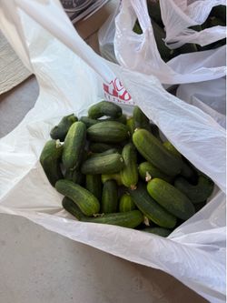 Cucumbers