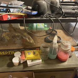 30 Gallon Aquarium 