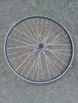 Mountain bike front rim