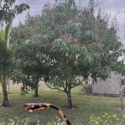 Chafers 8 Quart size 