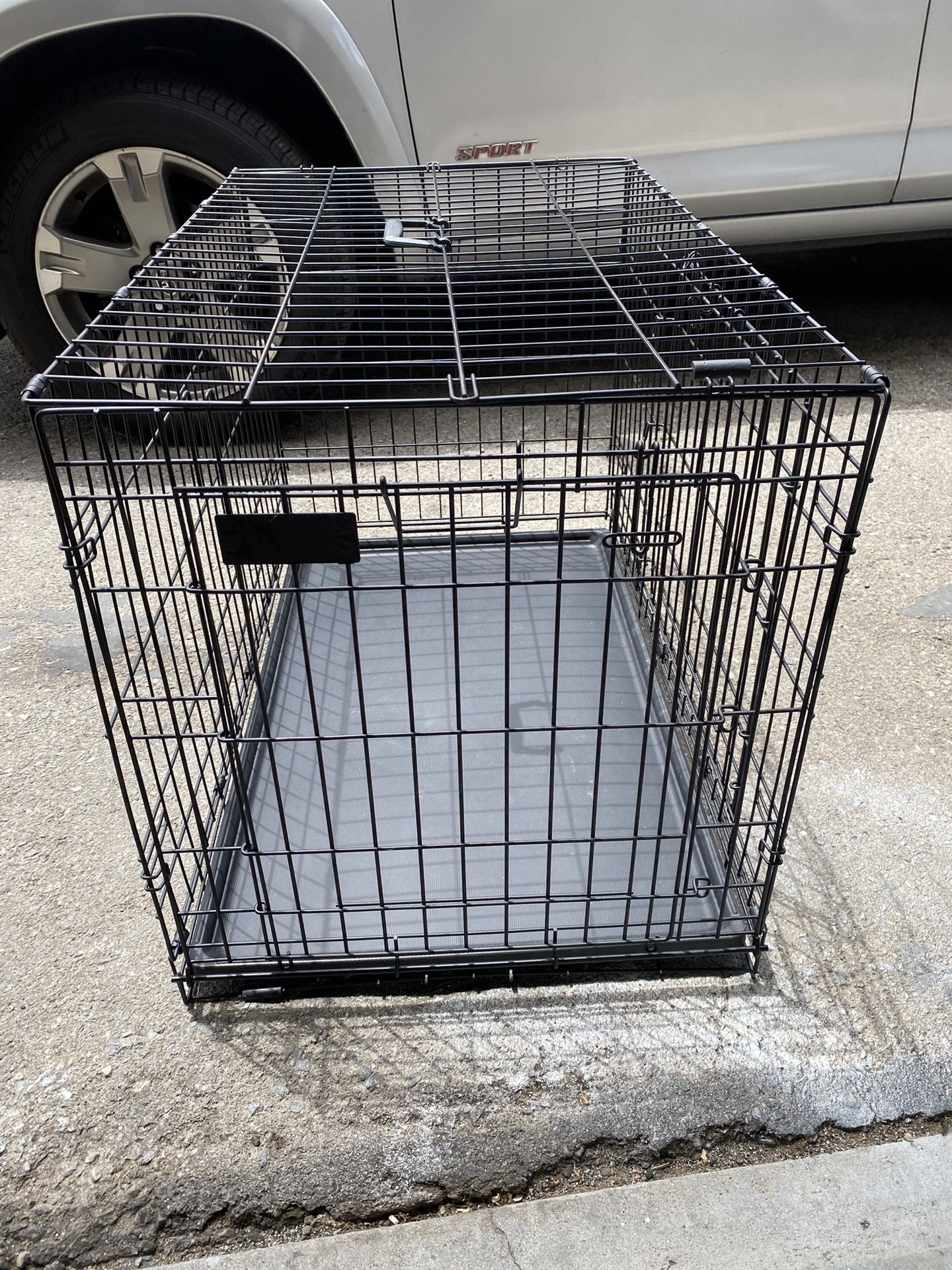 Large Crate Dog