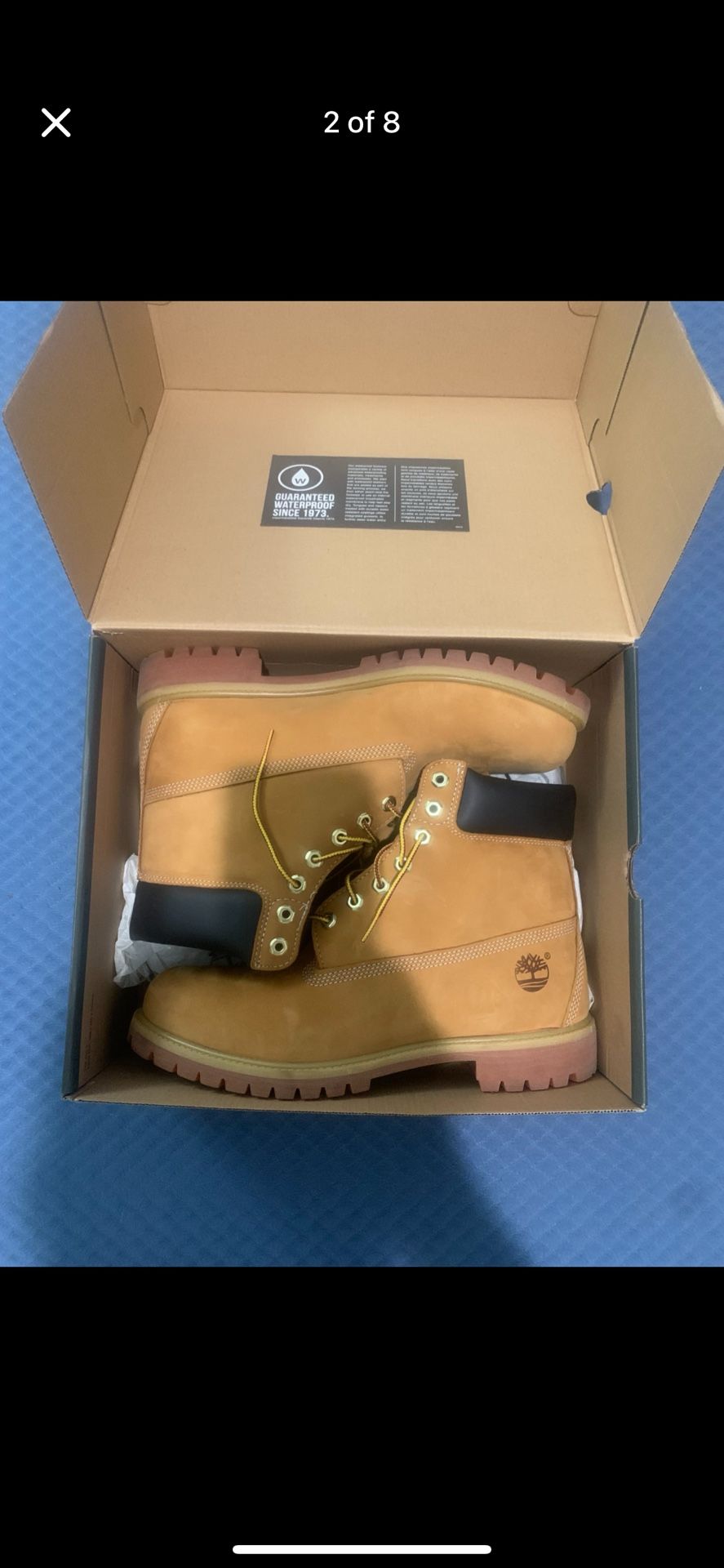 New In Box Timberlands 140$ Size 11