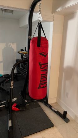 Barely used. Everlast punching bag. Boxing