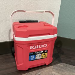 $25 for (1) Igloo Pink Profile 16 Quart Roller Hard-Sided Cooler