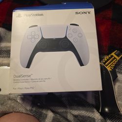 Playstation  Sony DualSense