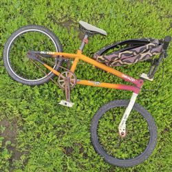 Specialized Bmx Bike 