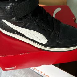 Puma