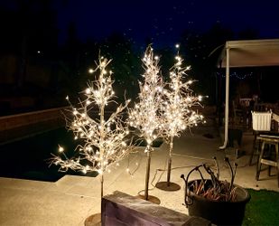 Christmas trees