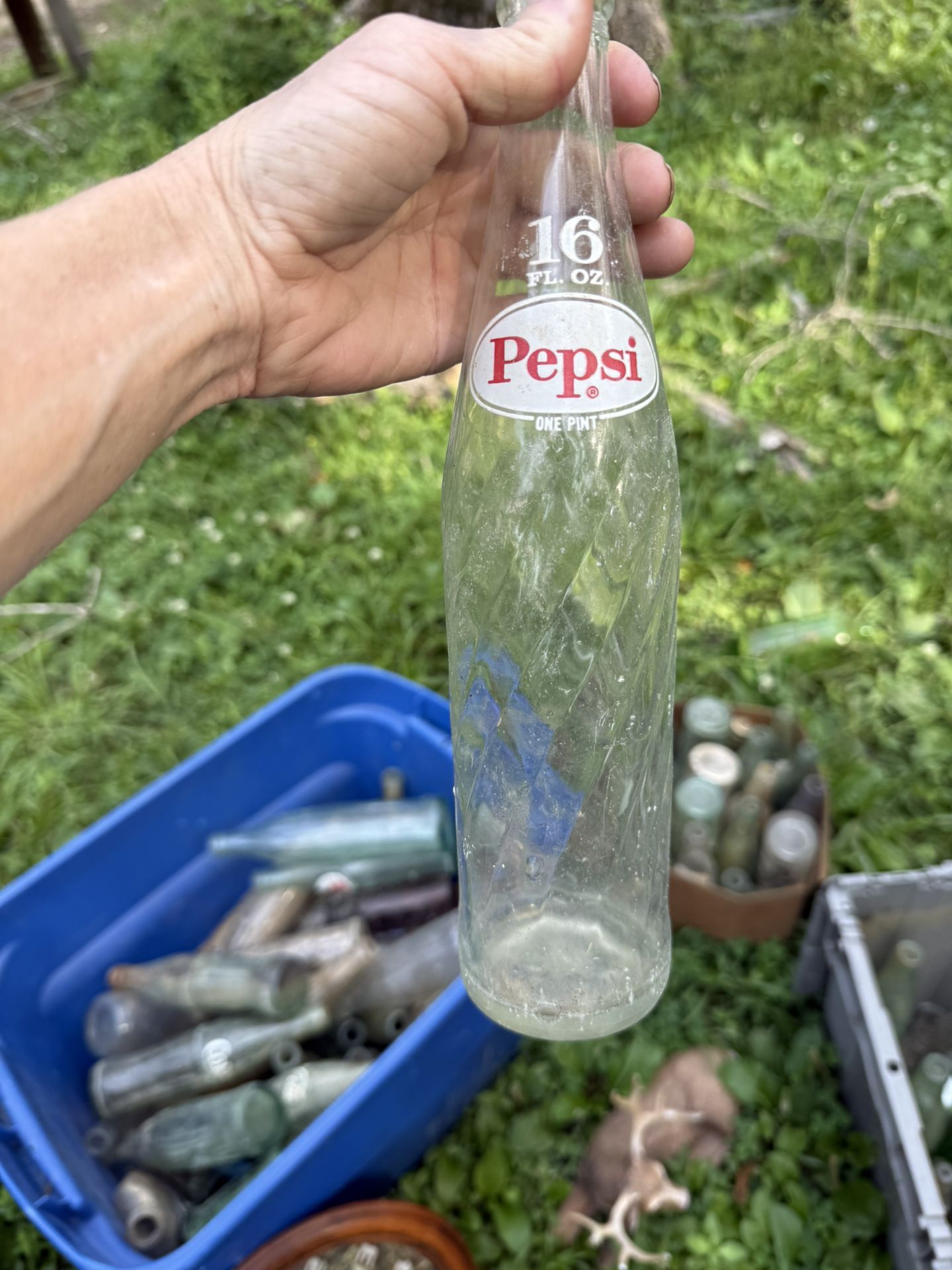 Old Glass Bottles