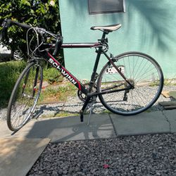 Schwinn Solara Bike