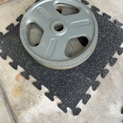 45lb Plates