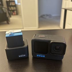 GoPro Hero 10 with Dual Battery Charger and Enduro Batteries