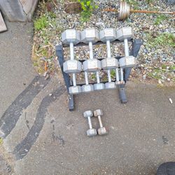 Free Weights