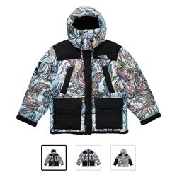 Supreme The North Face 700-Fill Down Parka Multicolor Dragon