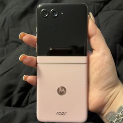 PINK 2025 Razr