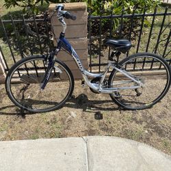 Trek Women’s / Teen Comfort Bike Multitrack 7300