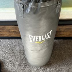 Punching Bag 