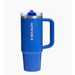 Stanley Quencher Flip Straw