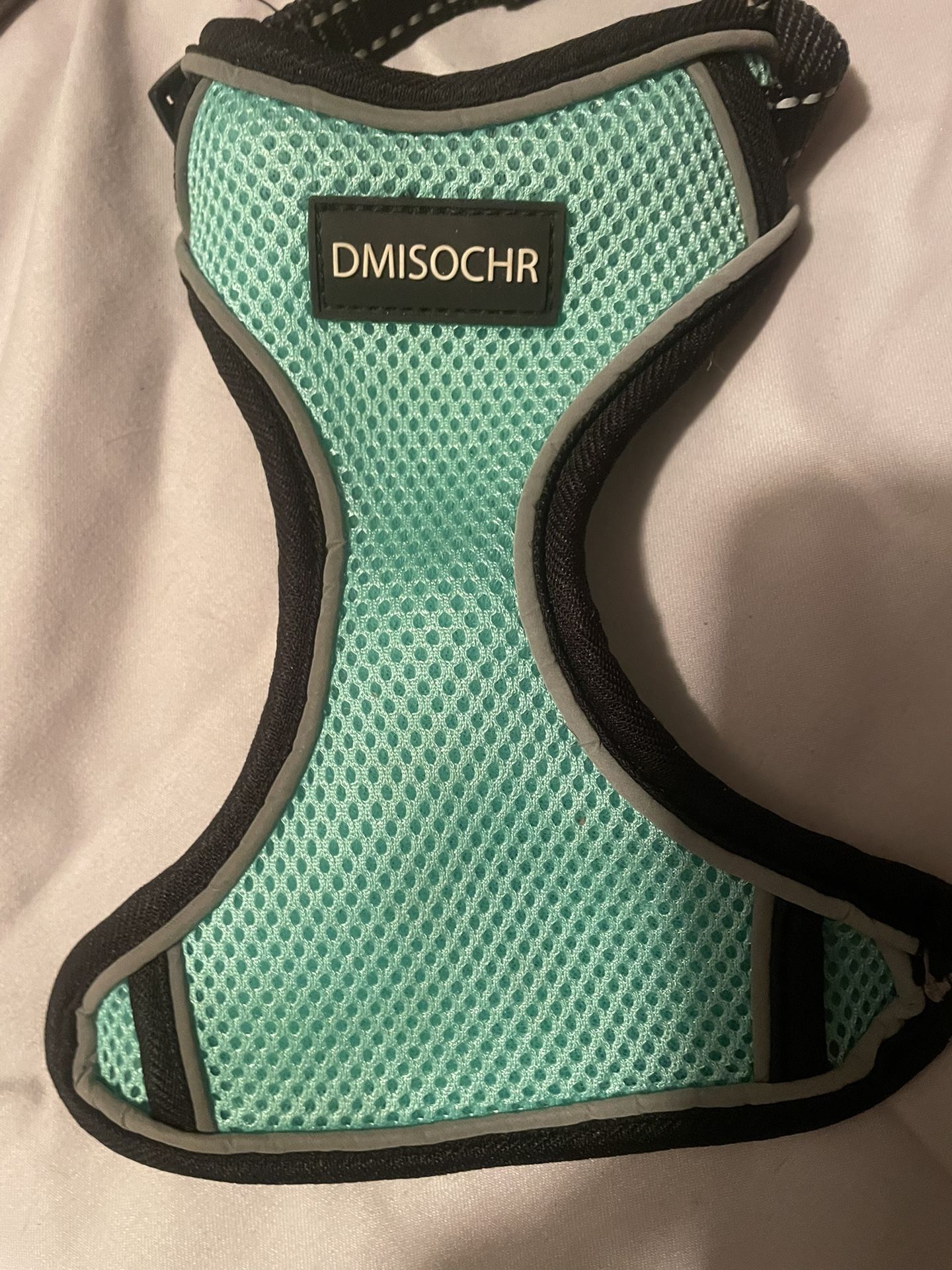 Harness For Cat Or Small Dog. Branford.