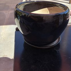 6” Plant Pot With Drainage Saucer